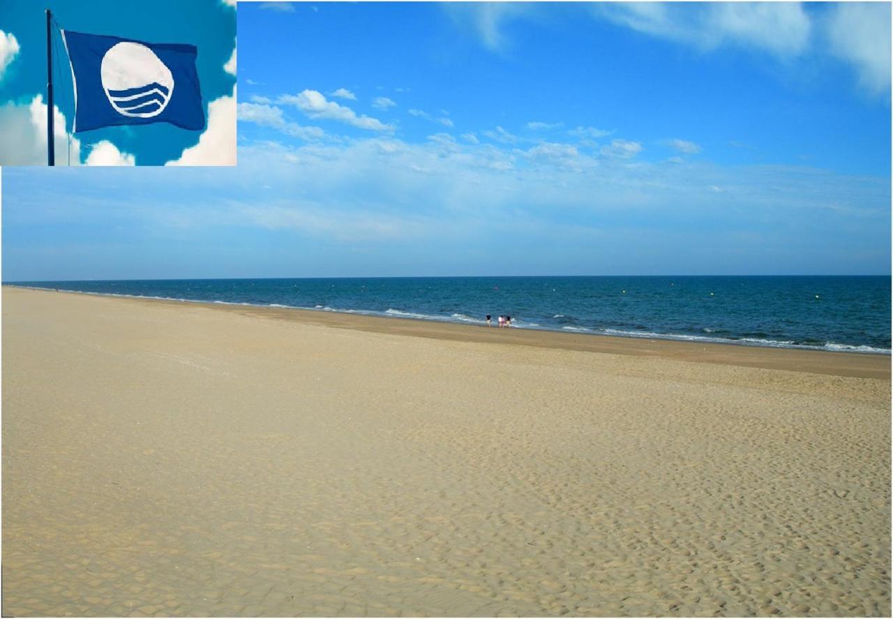 Apartamento Cerca Del Mar Oliva Bagian luar foto
